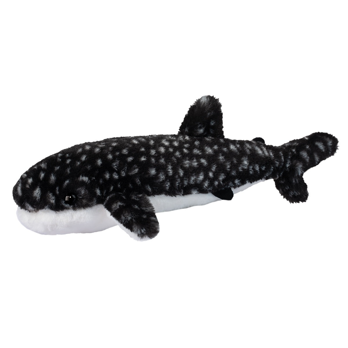 BARNACLE WHALE SHARK