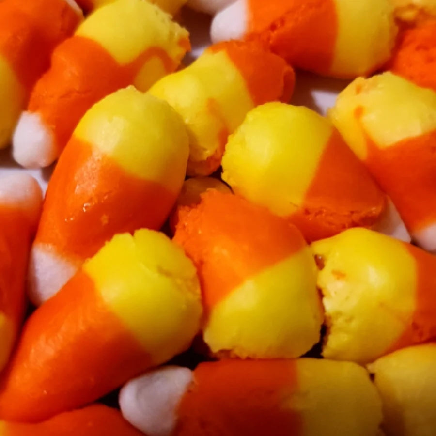 Candy Corn Freeze Dried