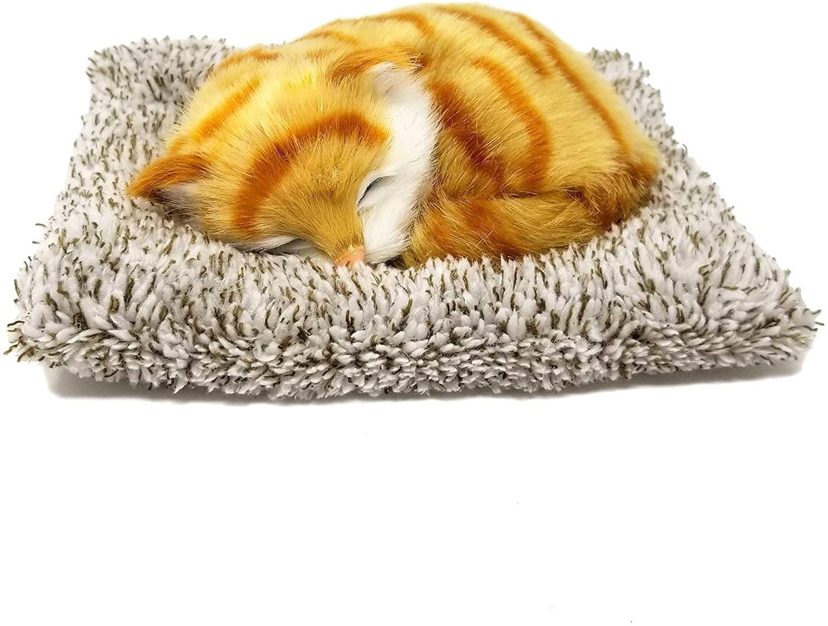 Perfect Petzzz Mini Orange Tabby