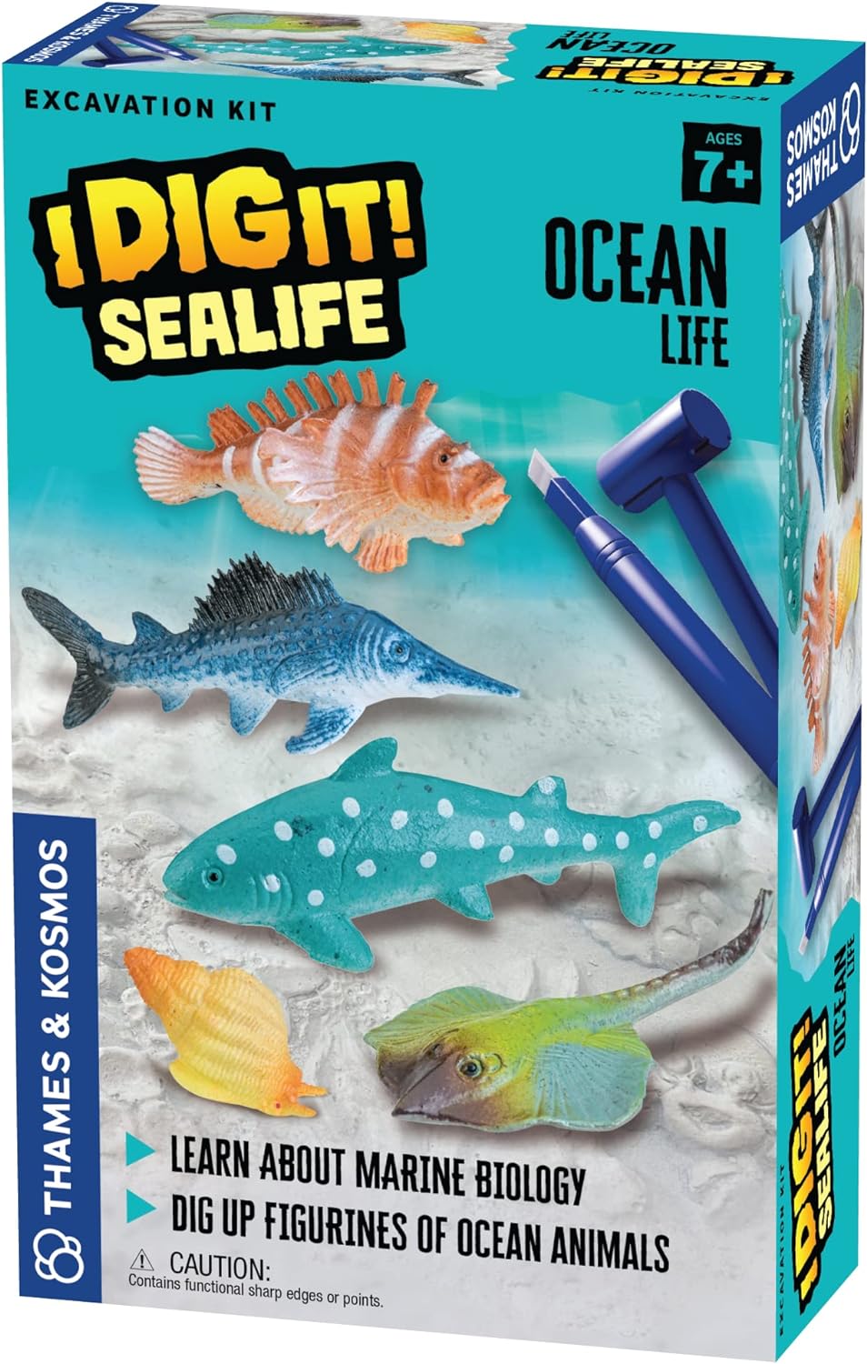 I Dig It! Sealife- Ocean