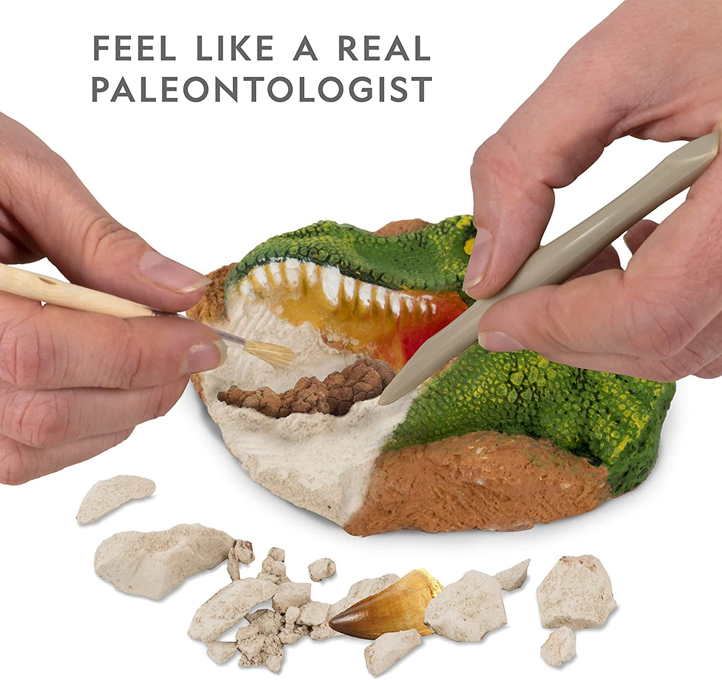 Nat Geo Dino Dig Kit