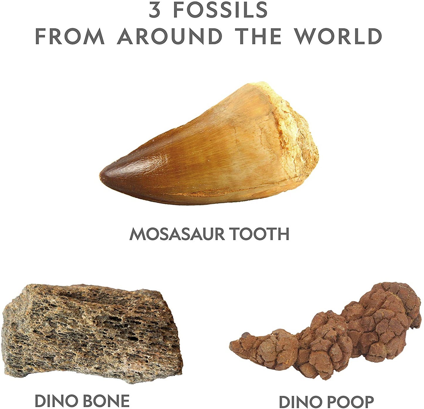 Nat Geo Dino Dig Kit