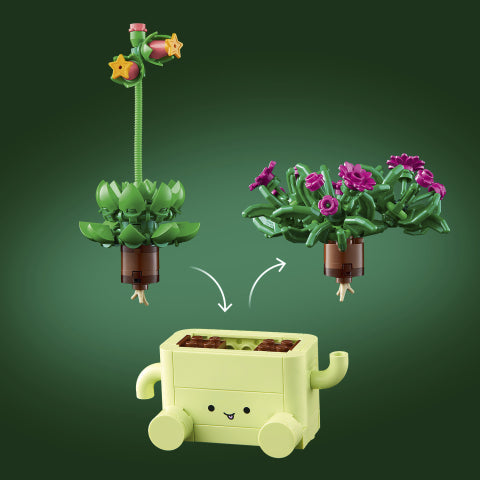 Rocking Plants