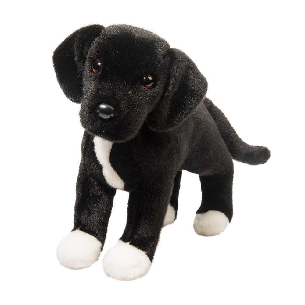 TWISTER BLK LAB PIT MIX