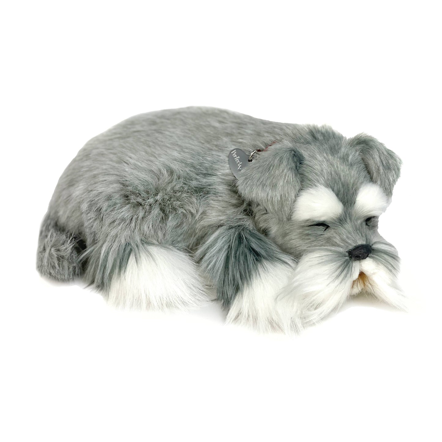 Schnauzer - Perfect Petzzz