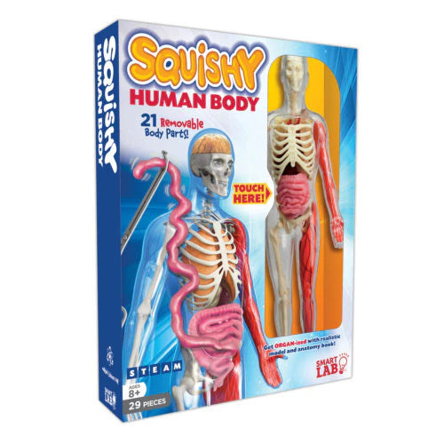SLT SQUISHY HUMAN BODY