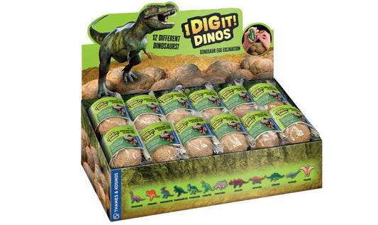 (Bagged) I Dig It! Dino Egg