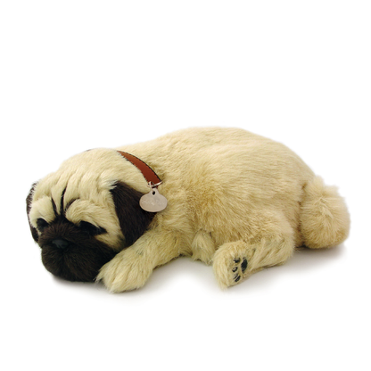 Pug - Perfect Petzzz