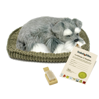 Schnauzer - Perfect Petzzz