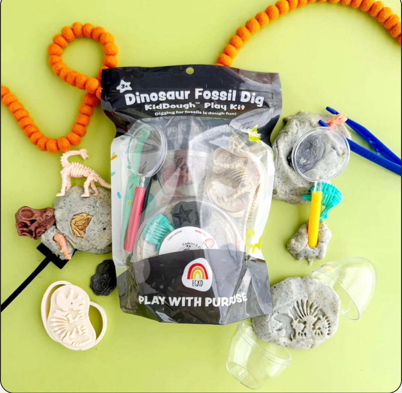 Dino Fossil Play Kit