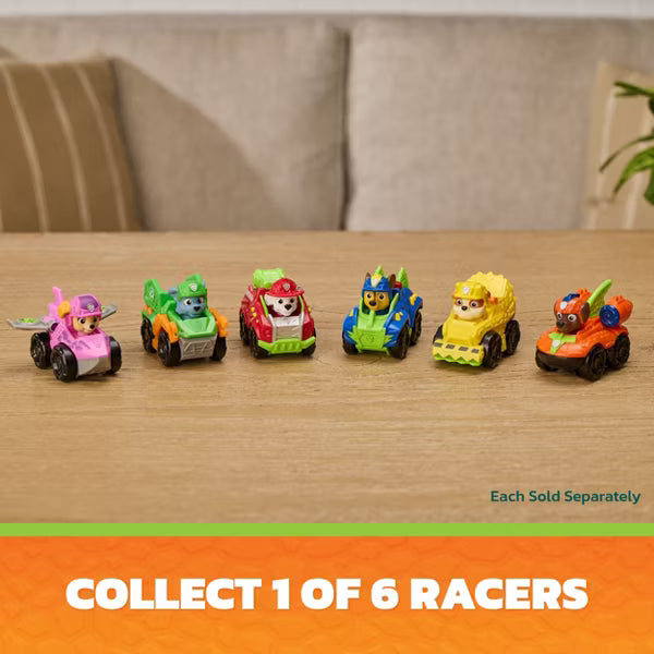 Pup Squad Racer Assortment (PAW Patrol: The Dino Movie)
