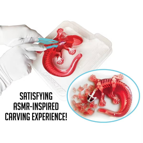 Dissect IT SALAMANDER