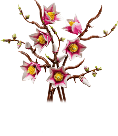 Magnolia Branches
