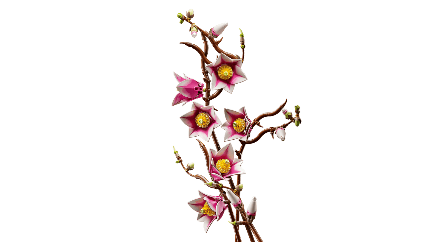 Magnolia Branches