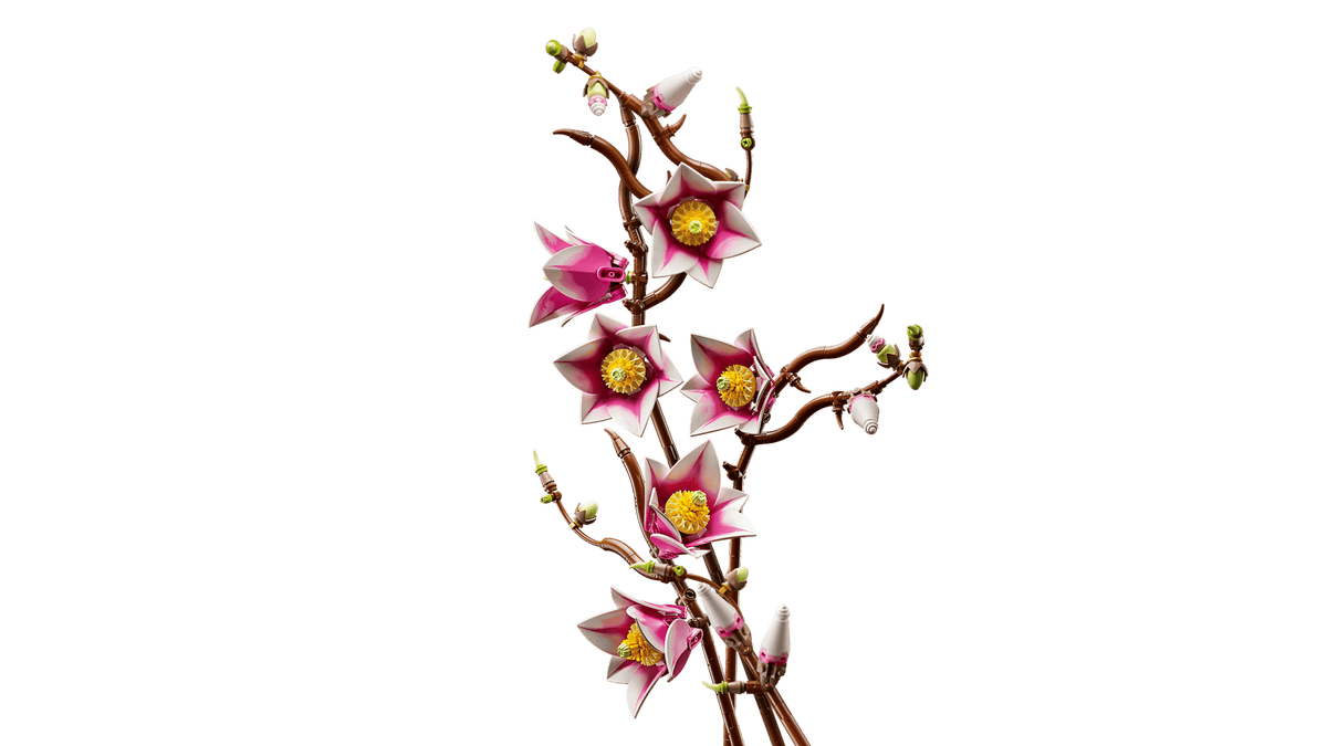 Magnolia Branches