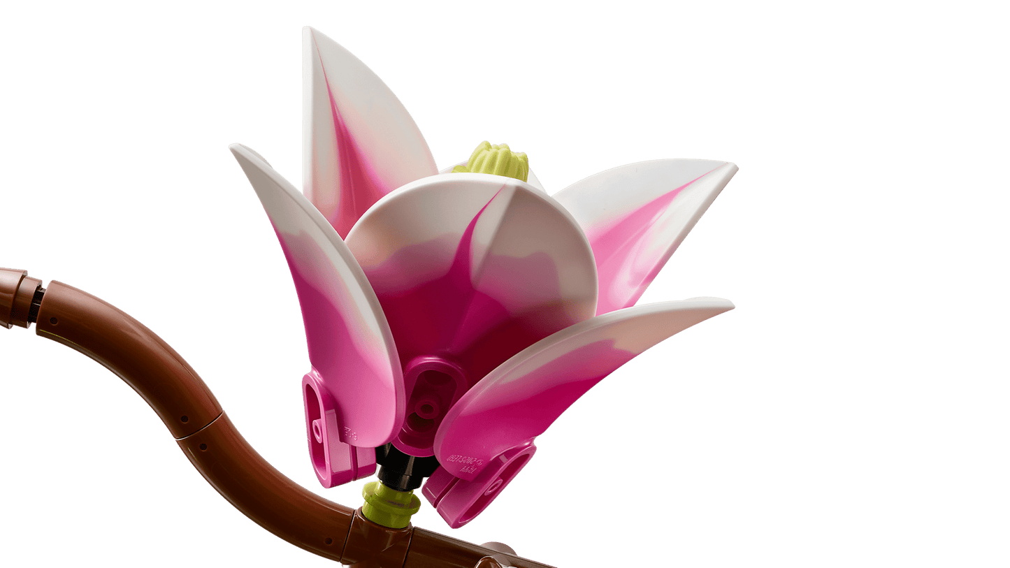 Magnolia Branches