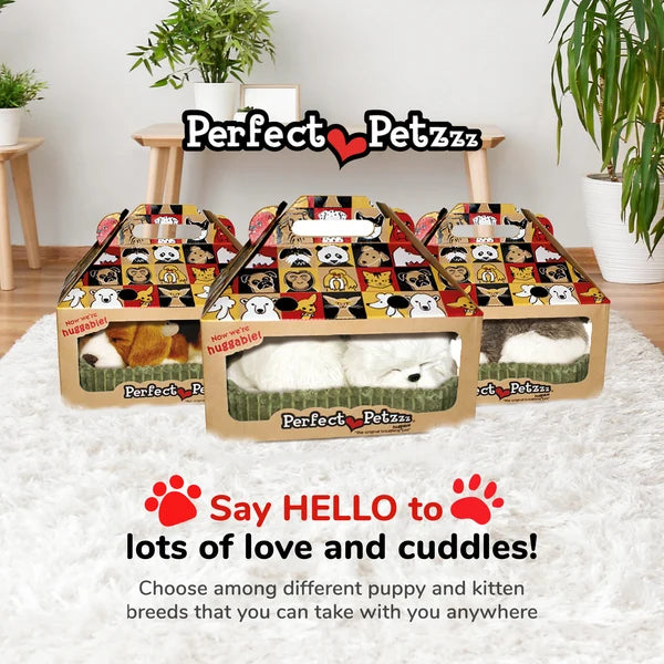 Maltese - Perfect Petzzz