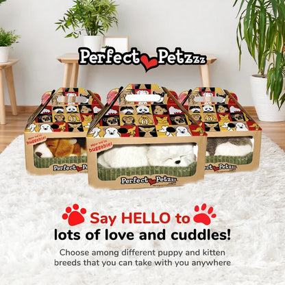 Maltese - Perfect Petzzz