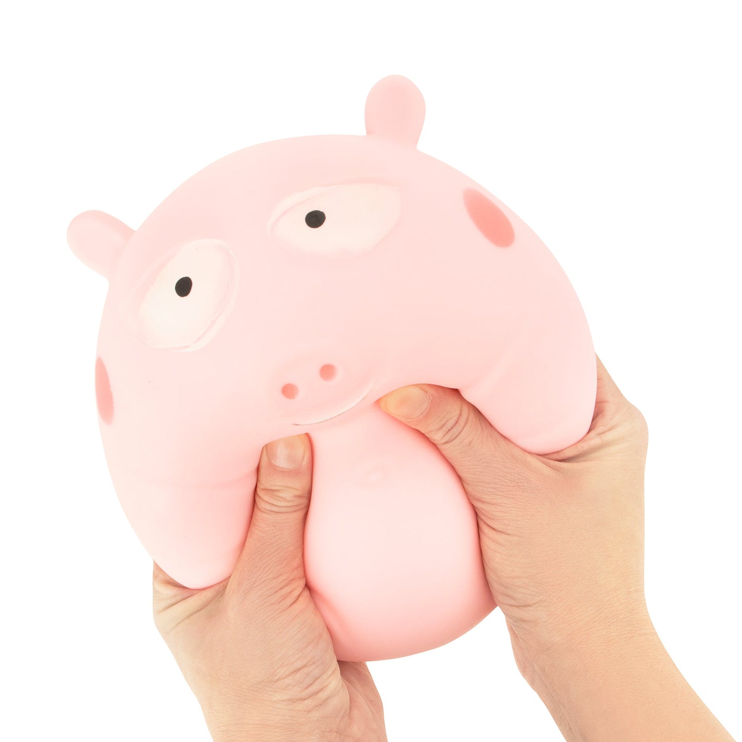 The Big Squij Pig
