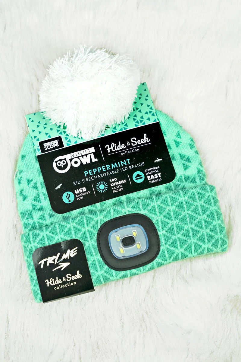 Led Beanie Asst Kids