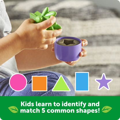 Shape & Color Garden