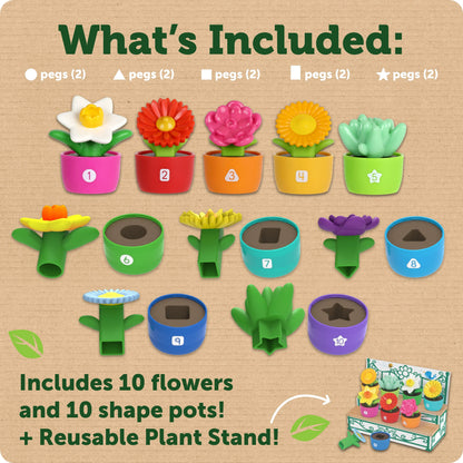 Shape & Color Garden