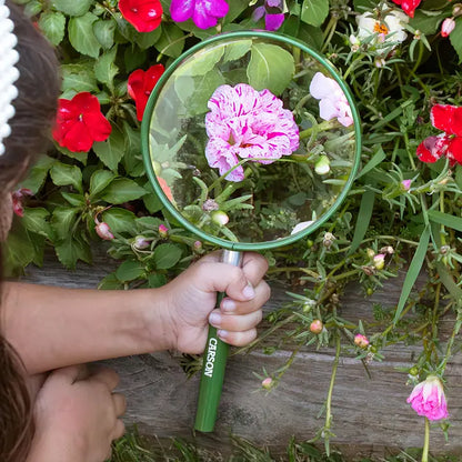 Big Eye Oversized Magnifying Glass