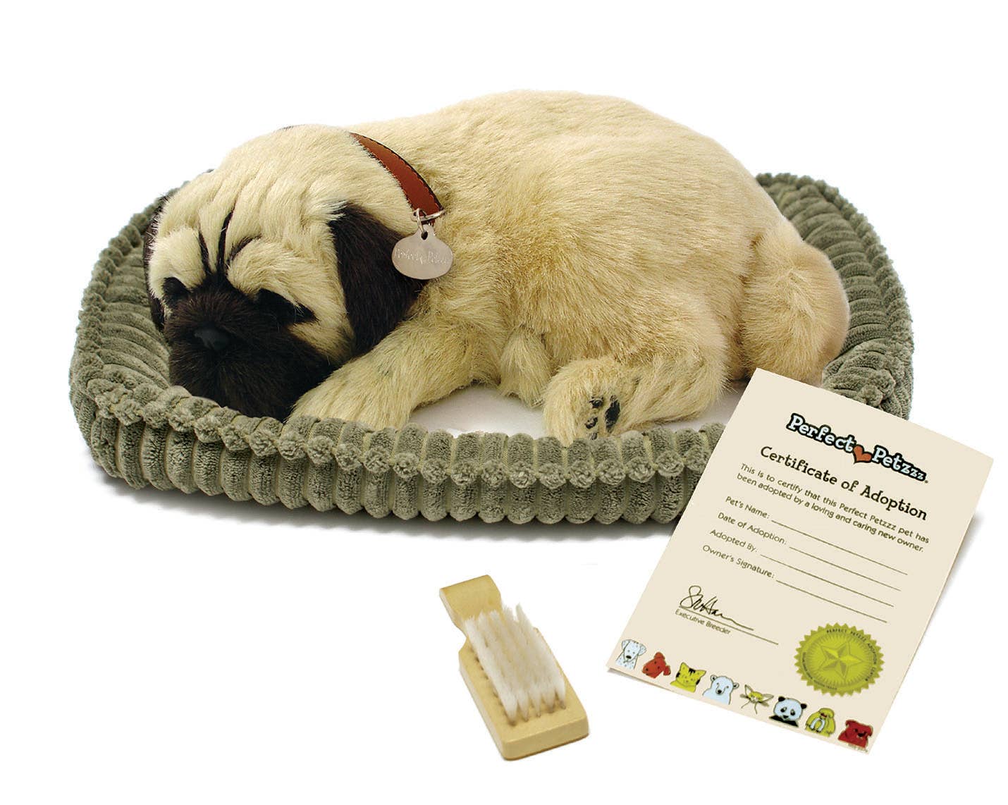Pug - Perfect Petzzz