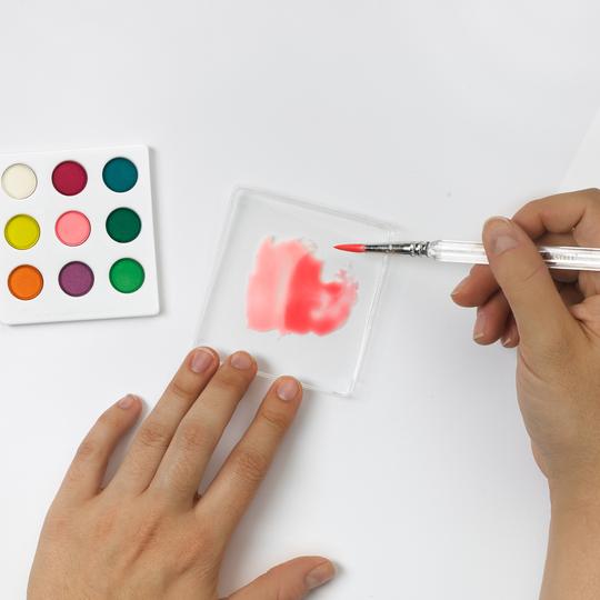 Paint by Number Produce