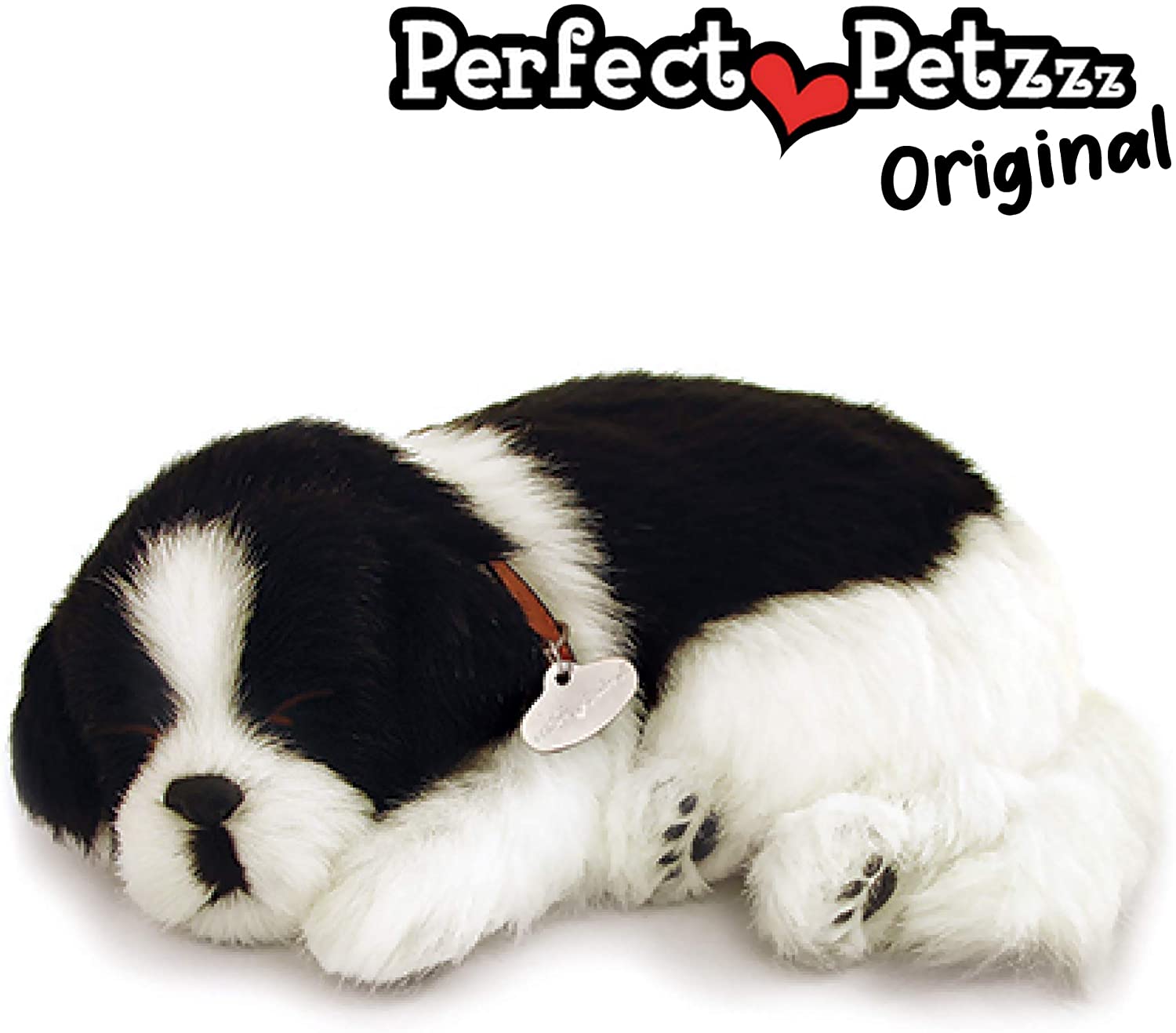 Perfect Petzzz Border Collie