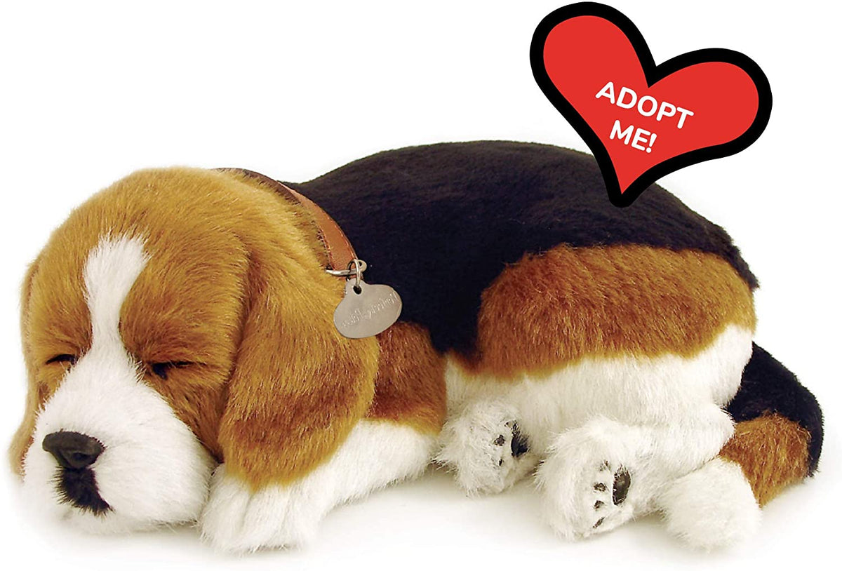Perfect Petzzz Beagle