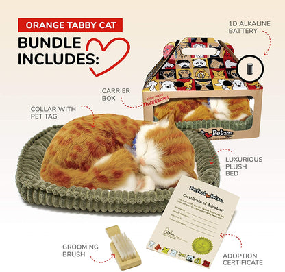 Perfect Petzzz Orange Tabby