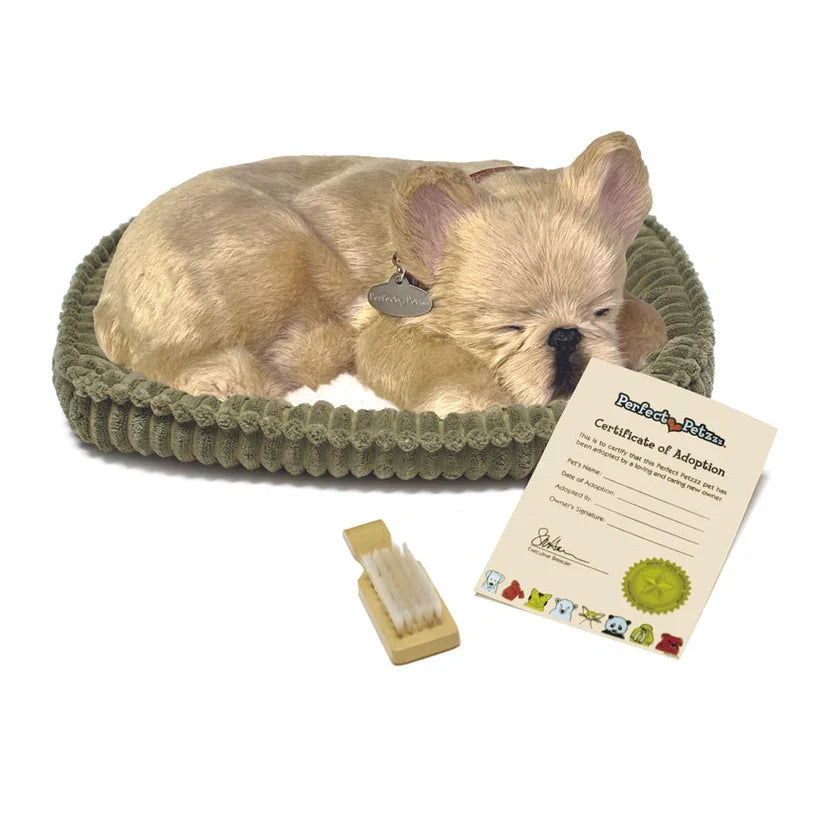French Bulldog - Perfect Petzzz