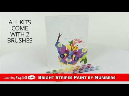 Paint by Number Butterfli