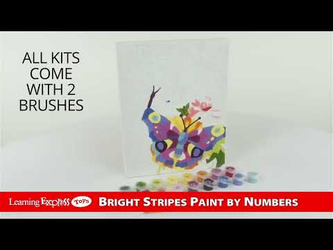 Paint by Number Butterfli
