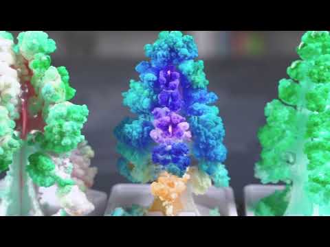 Nat Geo Crystal Garden