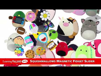 Sliders Squishmallows*