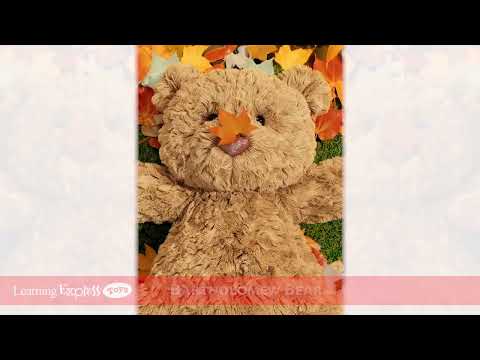 Bartholomew Bear Med
