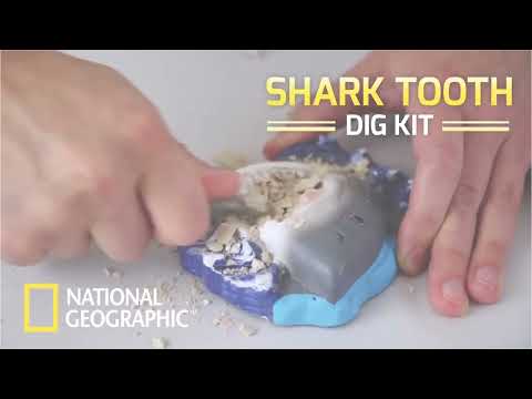 Nat Geo Shark Tooth Dig
