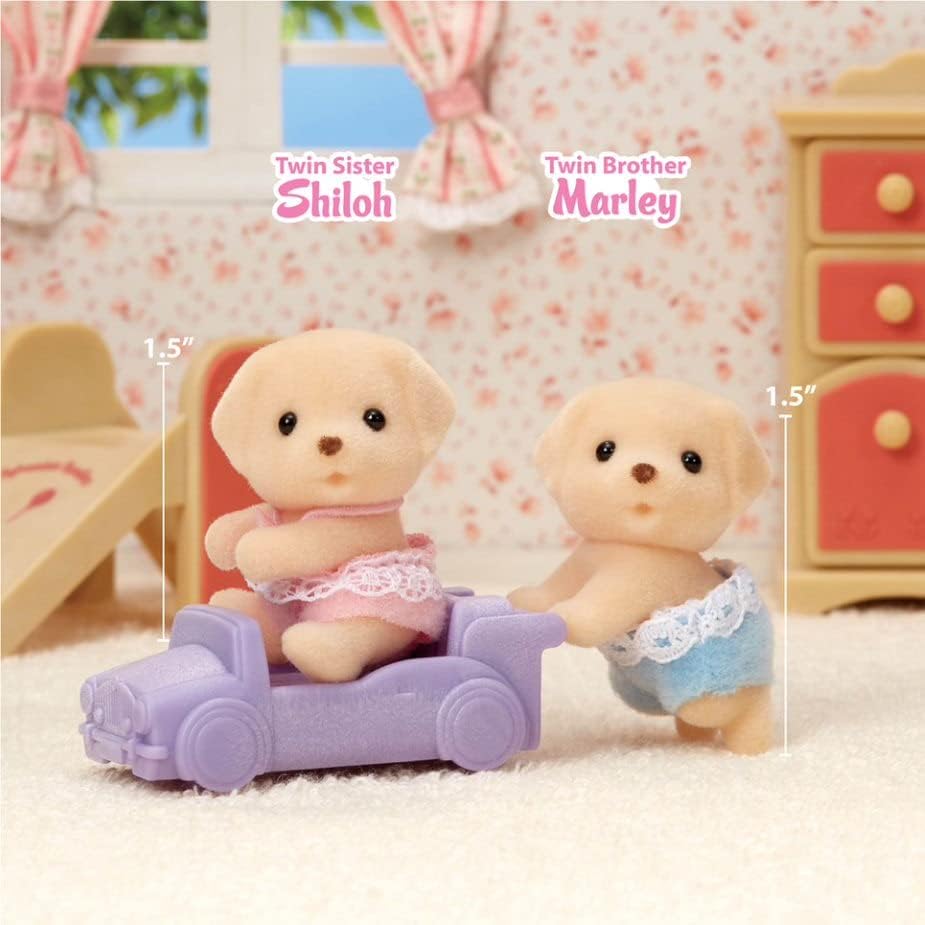 Cc Lab Twins