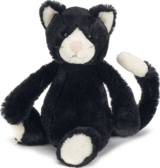 Bashful Black & White Cat