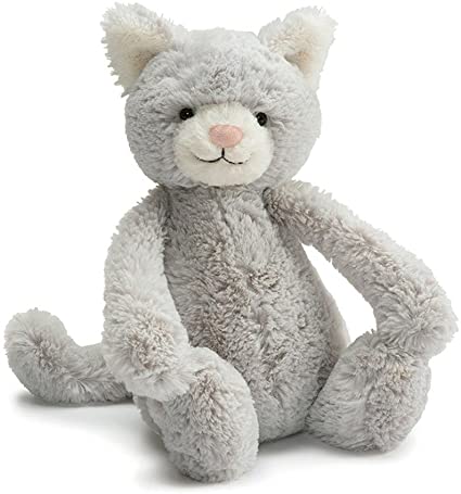 Bashful Grey Kitten