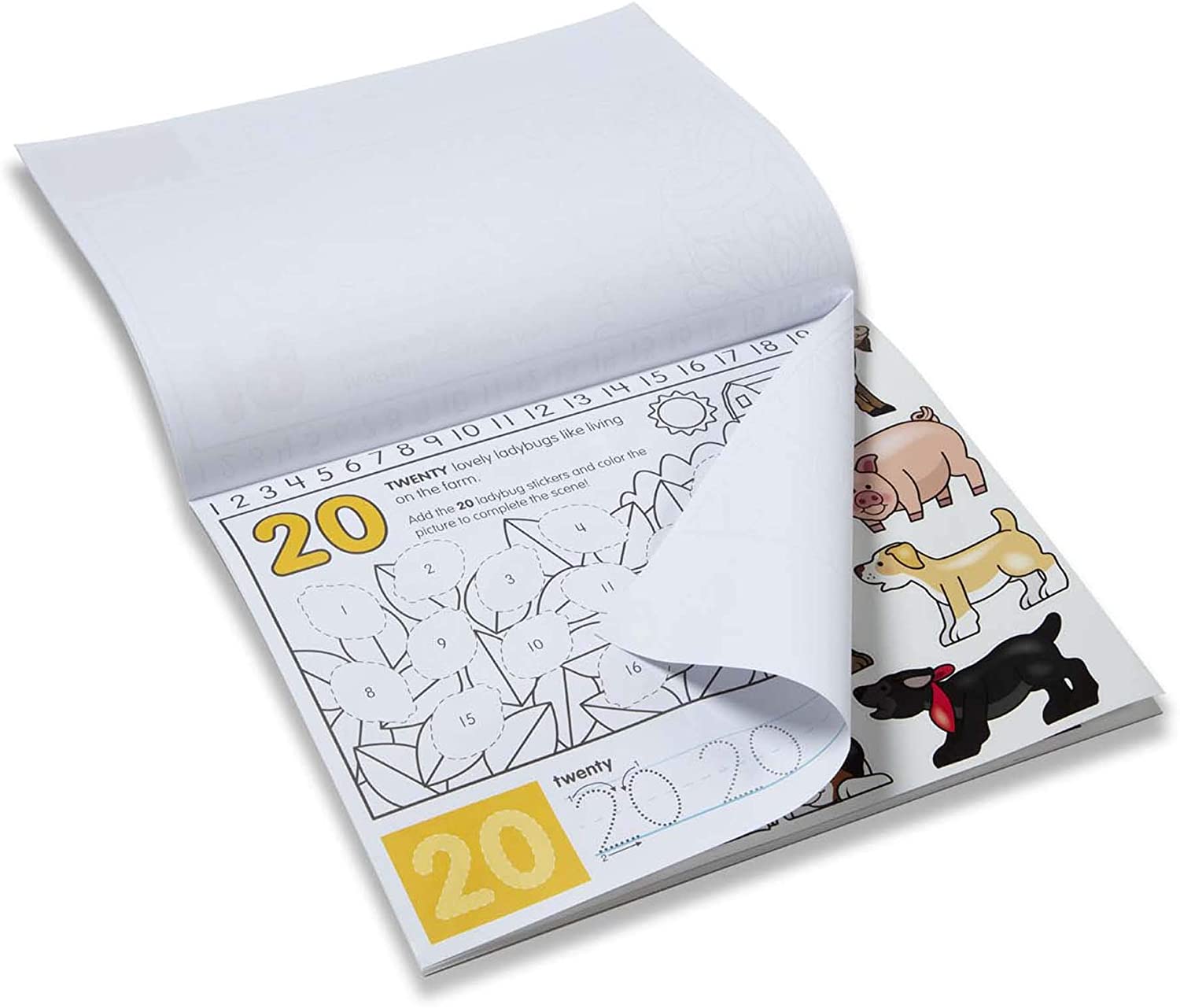 Number Activity Pad