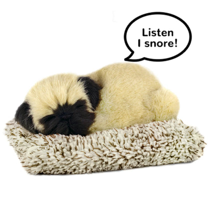 Pug - Mini Perfect Petzzz