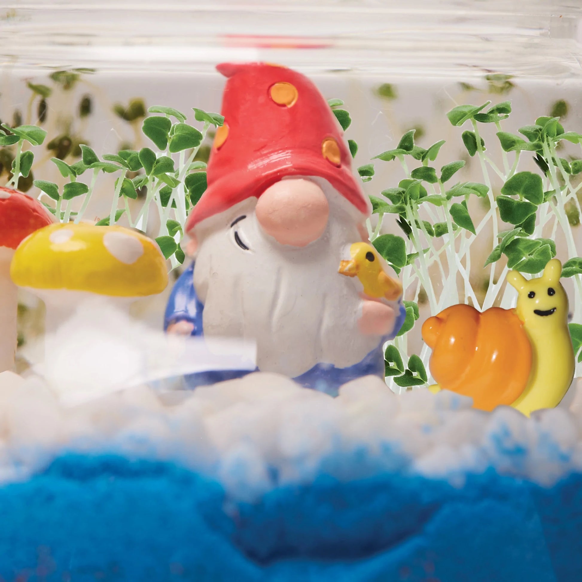 Plant & Grow Woodland for