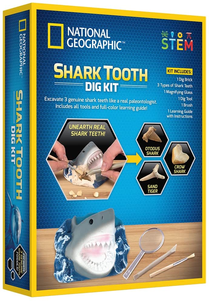 Nat Geo Shark Tooth Dig