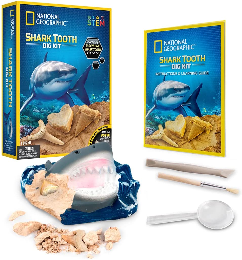 Nat Geo Shark Tooth Dig