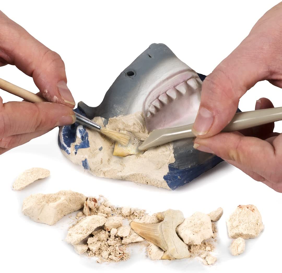 Nat Geo Shark Tooth Dig