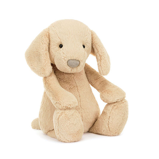 Bashful Puppy Orlando Reg