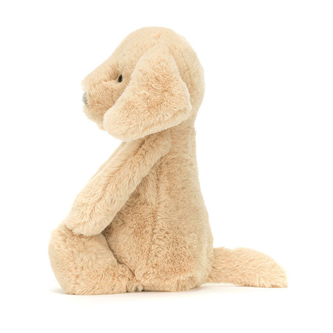 Bashful Puppy Orlando Reg